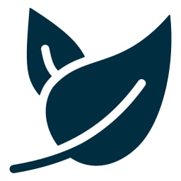 leaf icon